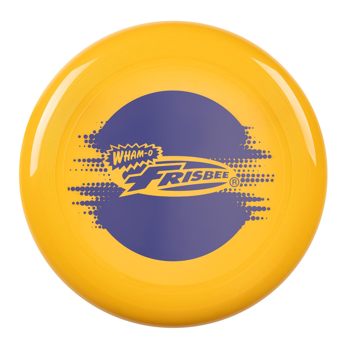 Frisbee Cool Flyer Flying Disc, 9.95 Inch Sports Disc Lightweight Durable for Outdoor Beach Park Backyard Game - 130g