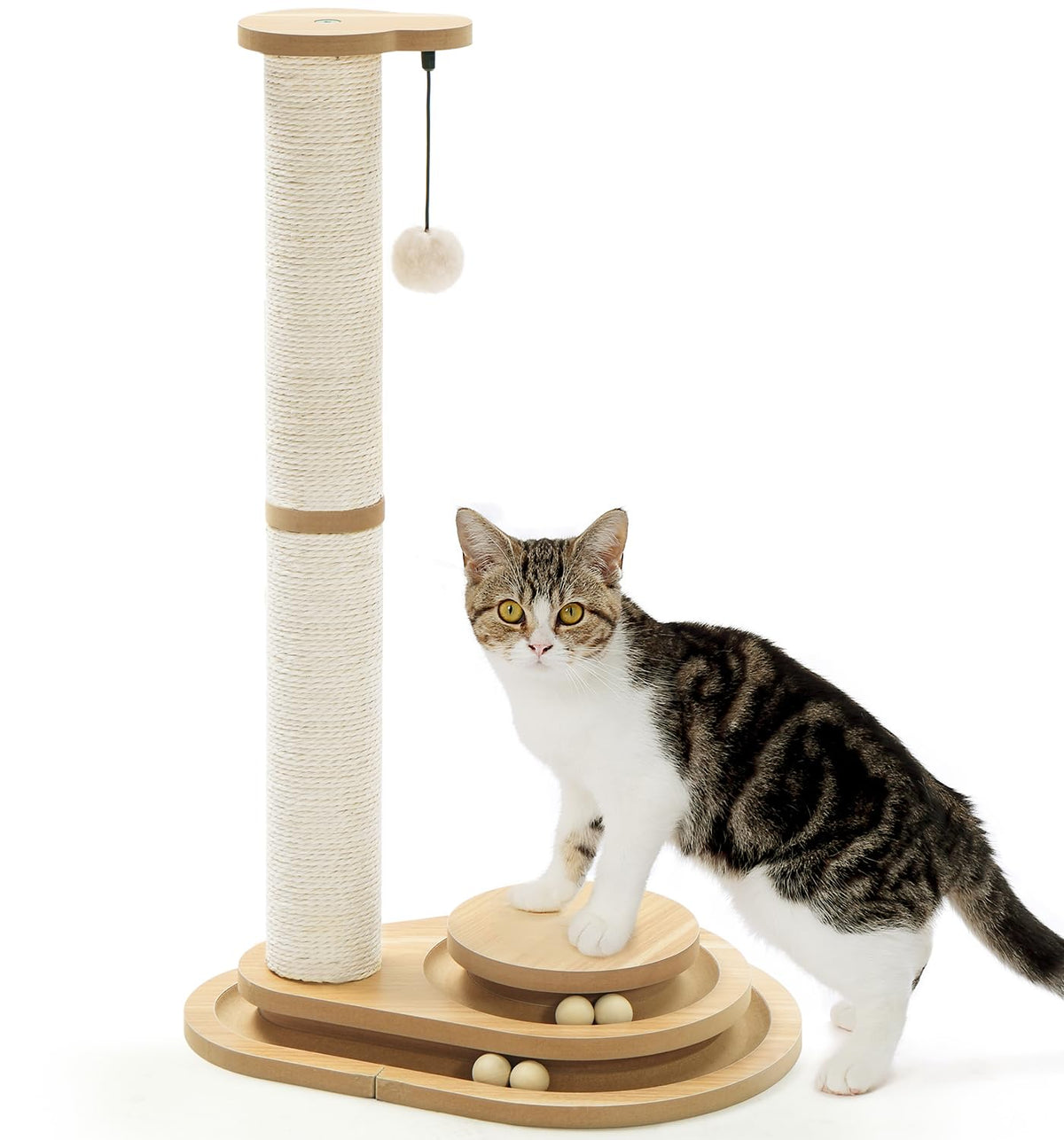 Made4Pets Kitten Toy Scratching Post for Indoor Cats with Ball Track