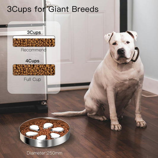 Feedoo Slow Feeder Dog Bowl 3.5-Cup, Food-Grade 304 Stainless Steel, 2-Pack