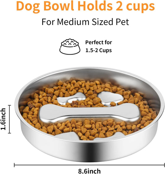 Novery Non-Slip Stainless Steel Slow Feeder Dog Bowl, 2-Cups