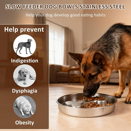 Slow Feeder Dog Bowls, 2 Pack 2 Cups Double-Sided 304 Stainless Steel Lick Plate & Slow Eating Bowl for Medium Large Dogs, Food-Grade Heavy Duty Metal Pet Food Holder Puzzle Maze Dish for Fast Eaters