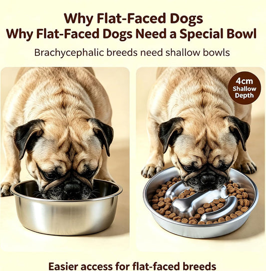 French Bulldog Slow Feeder Dog Bowl, 304 Stainless Steel, 2.5 Cup