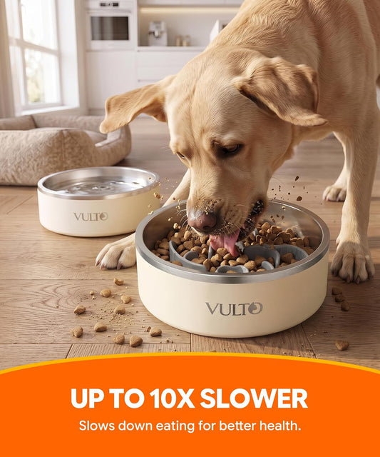 VULTO 18/8 Stainless Steel Slow Feeder Dog Bowl with Insert, Large, Cream