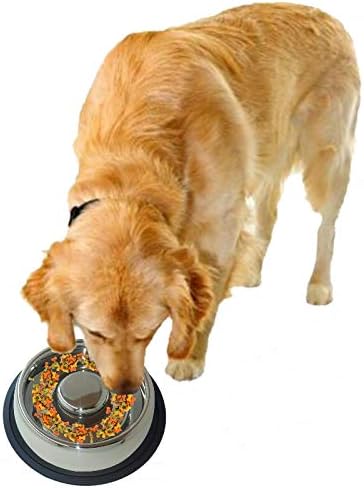 Mr. Peanut's Stainless Steel Interactive Slow Feed Dog Bowl with a Blue Base, Fun Healthy Bloat Stop Feeder (Large)