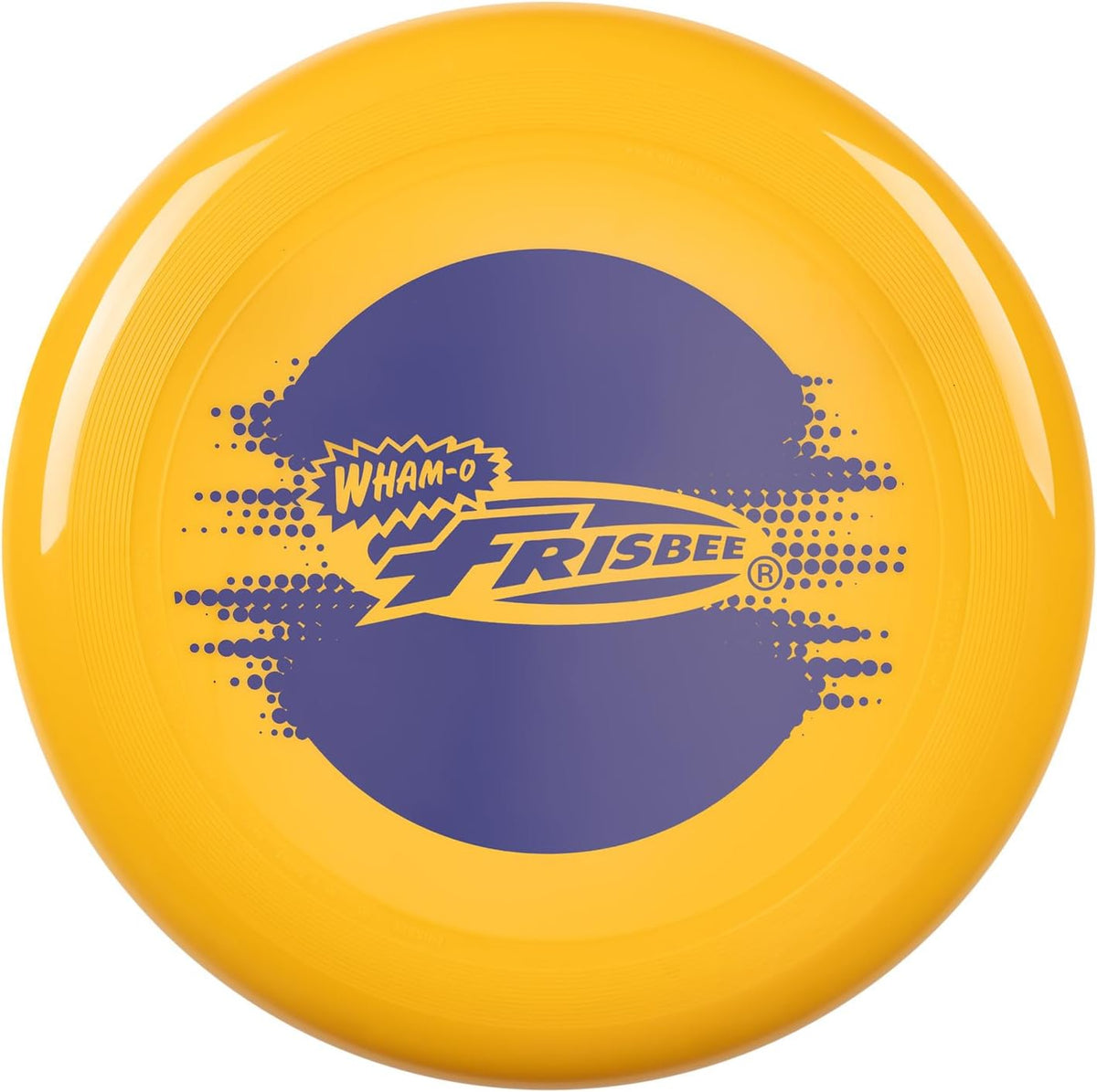 Frisbee Cool Flyer Flying Disc, 9.95 Inch Sports Disc Lightweight Durable for Outdoor Beach Park Backyard Game - 130g