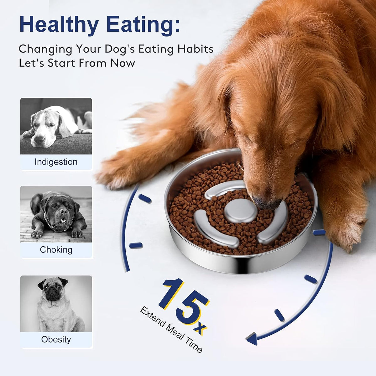 AIPERRO Stainless Steel Slow Feeder Dog Bowl | Metal Dog Food Bowls