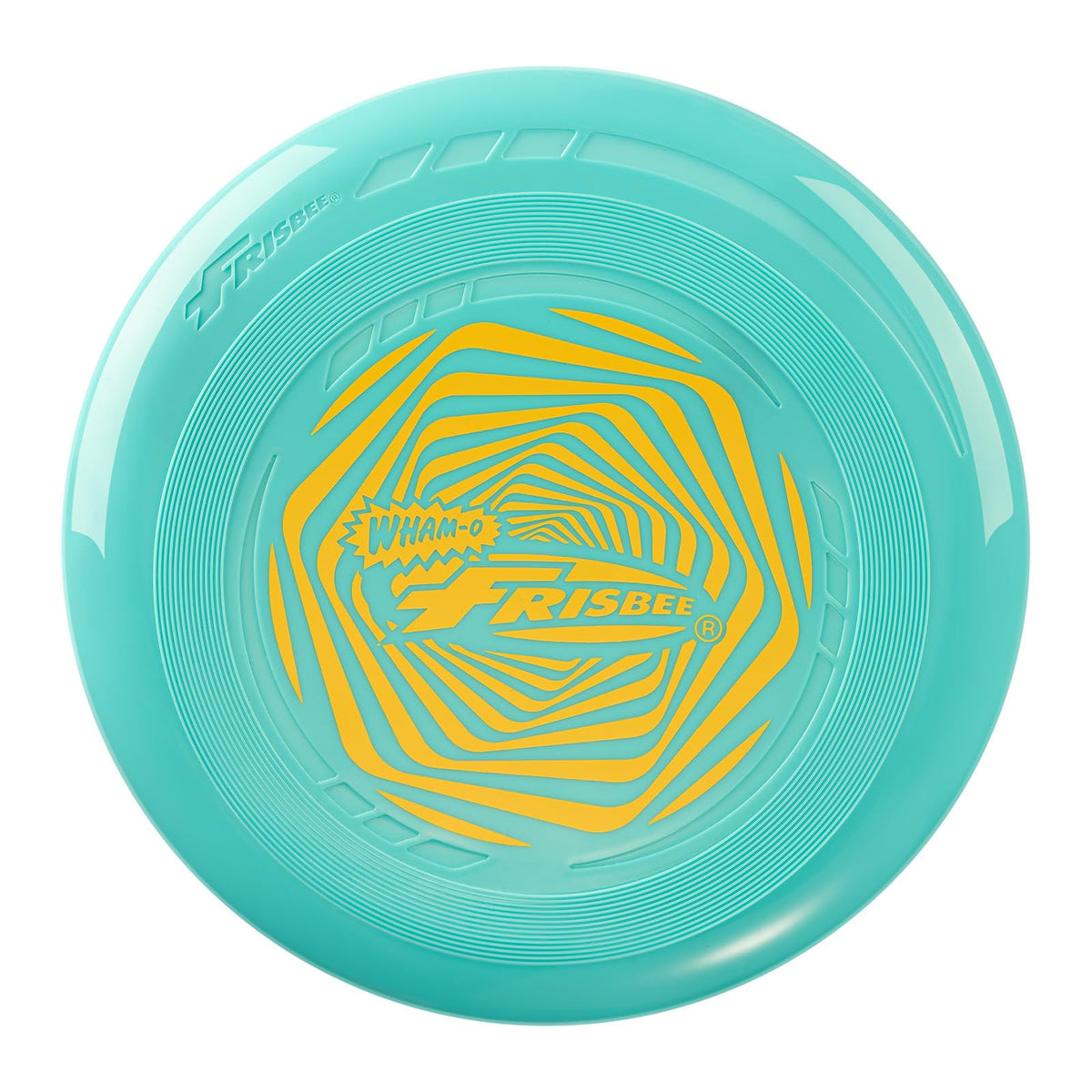 Frisbee Go Flying Disc, 9 Inch Lightweight Sports Disc for Beginners Outdoor Beach Backyard Lawn Park Camping Family Activity Game - 70g