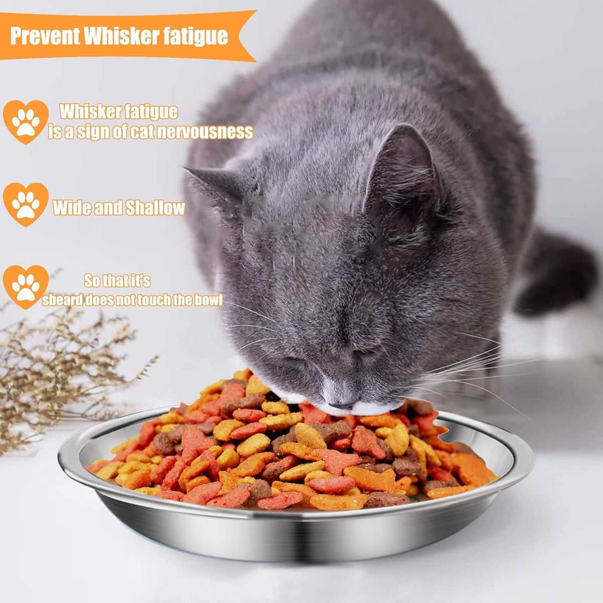 6 Pcs Stainless Steel Cat Bowls Shallow Wide Food Bowls for Cats Replacement Whisker Fatigue Relief for Small Dogs and Cats Indoors (Silver)