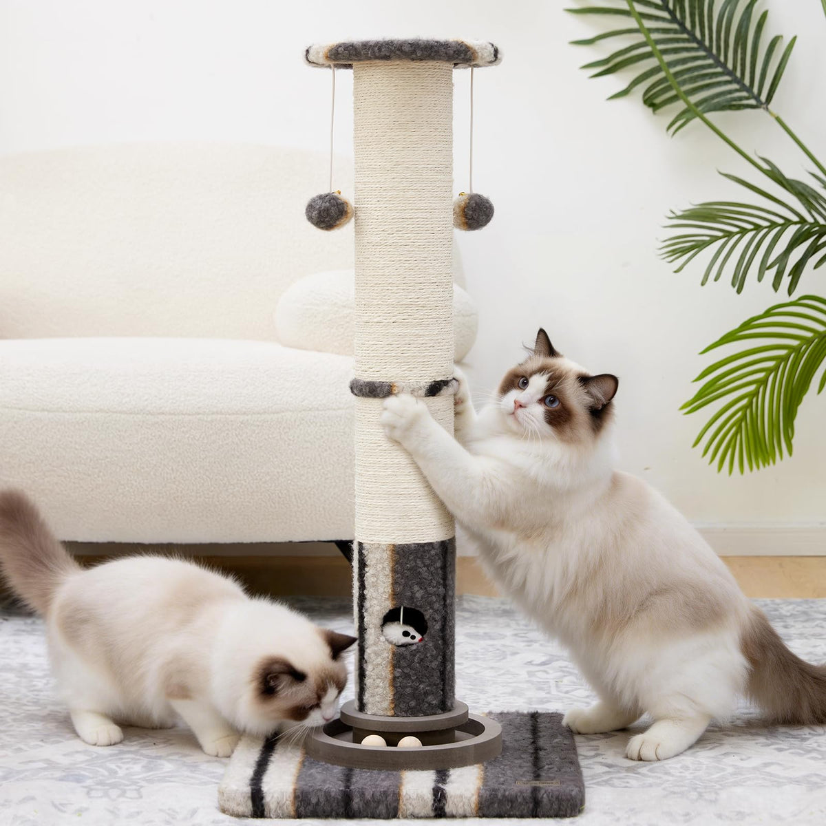 Woochpet 34" Tall Cat Scratching Posts,Heavy Duty and Thicker Cat Scratcher