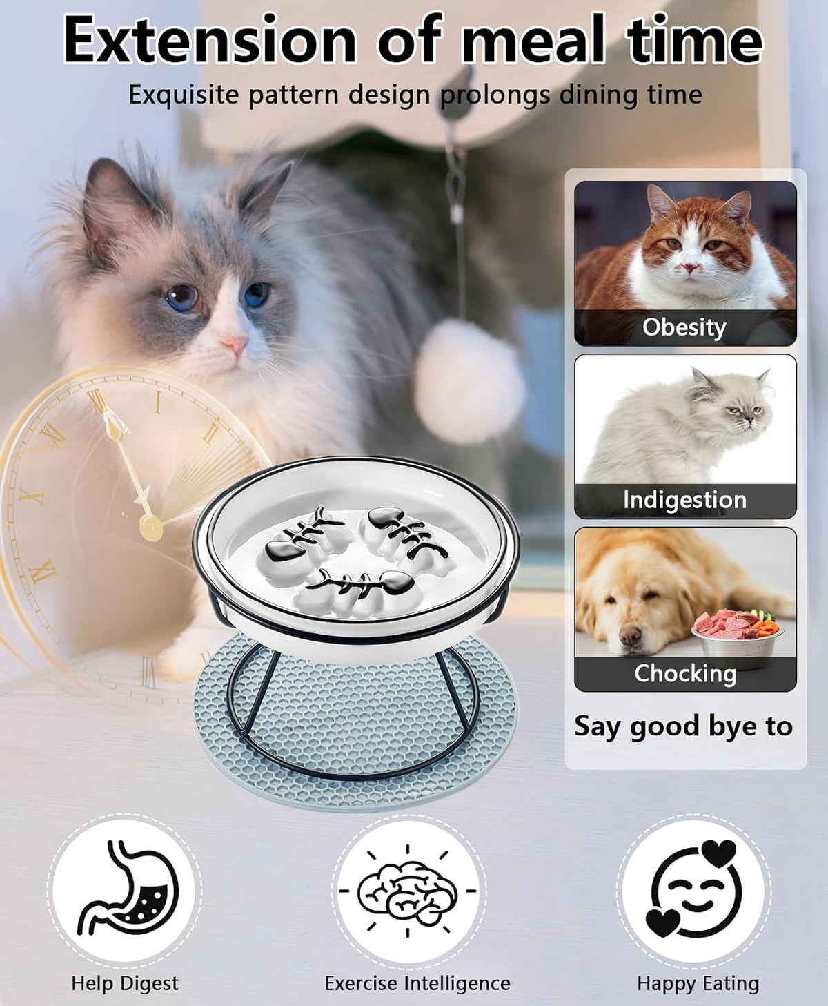 Ceramic Elevated Slow Feeder Cat Bowl, Anti Vomit, Removable Dish, Black