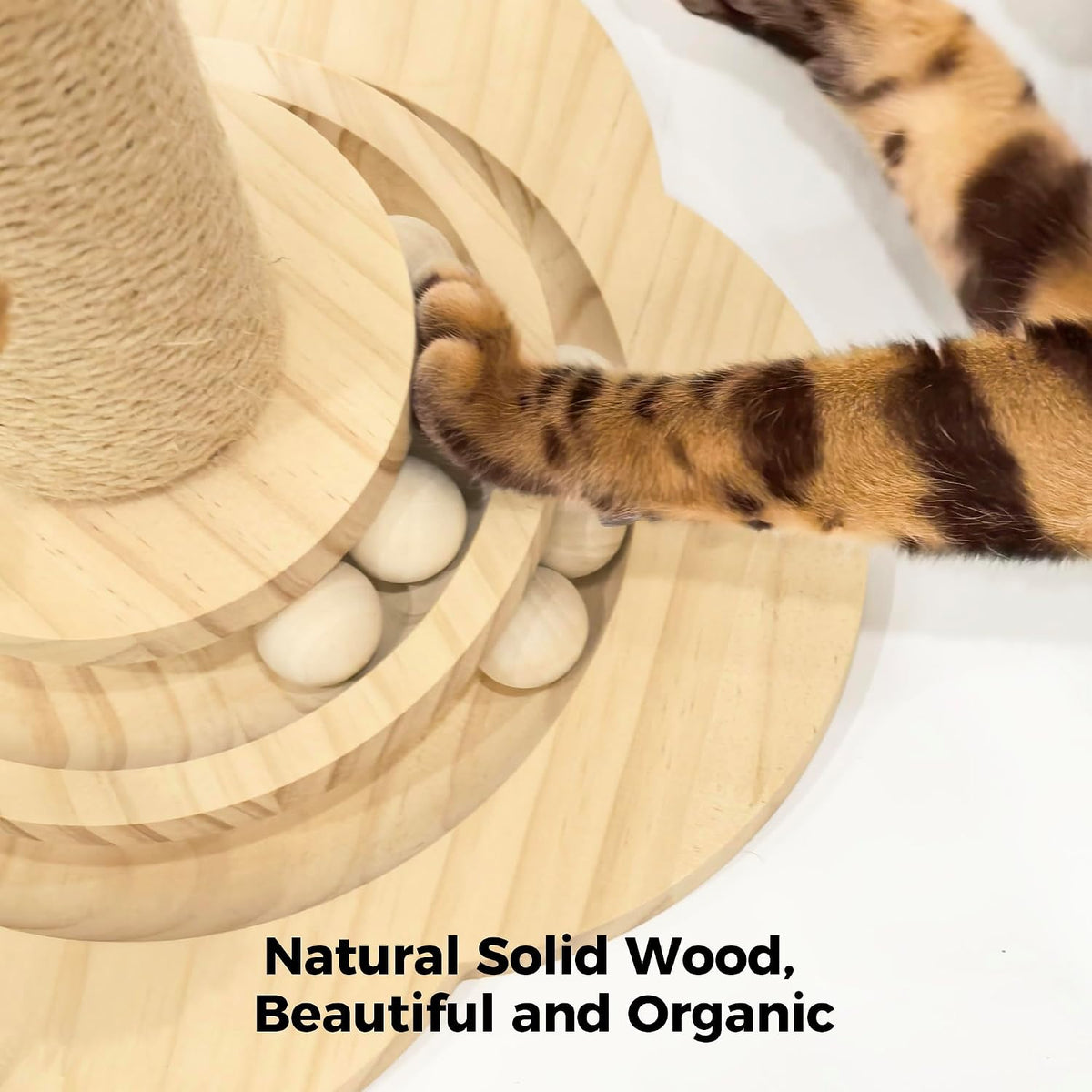 4-in-1 Cat Scratching Post for Indoor Kittens