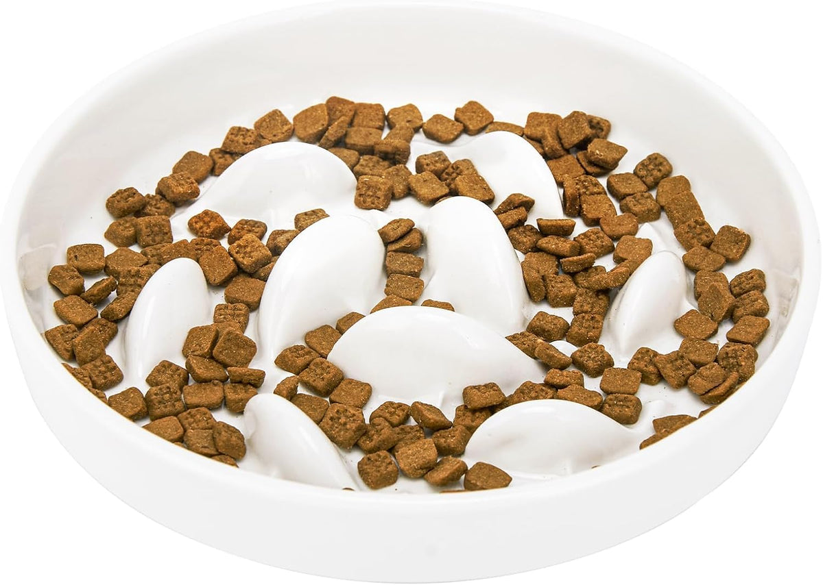 Ceramic Slow Feeder Cat Bowl 6.3" Wide (White)