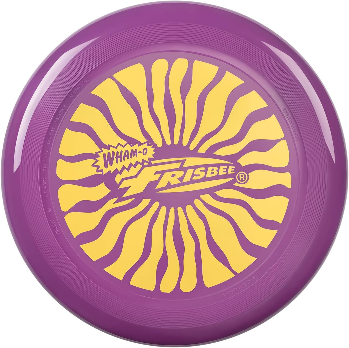 Frisbee Cool Flyer Flying Disc, 9.95 Inch Sports Disc Lightweight Durable for Outdoor Beach Park Backyard Game - 130g