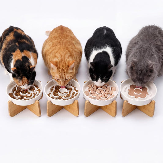4 Set Raised Slow Feeder Cat Bowl with Stand,Flower Style,White