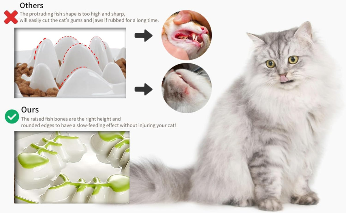 Ceramic Elevated Slow Feeder Cat Bowl, Anti Vomit, Removable Dish, Green