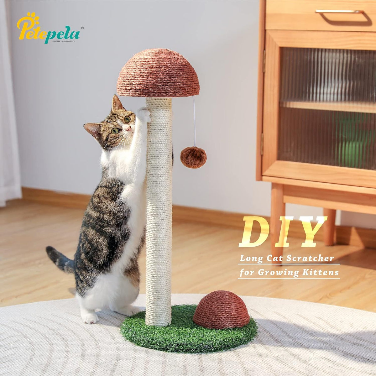 PETEPELA Mushroom Cat Scratching Post for Kittens & Small Cats, Brown