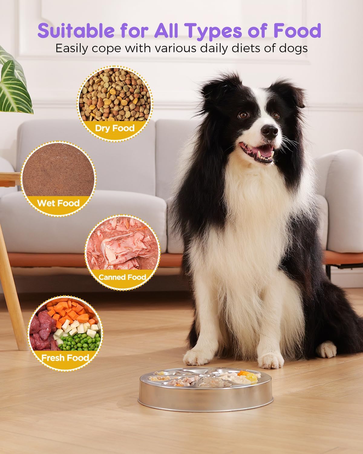 2-Pack Slow Feeder Dog Bowls – Stainless Steel Metal Bowls with Double-Sided Design, 5 Cups Large Capacity for Dry, Wet, Raw Food, Slow Feeding for All Dog Sizes, Easy to Clean, Non-Slip