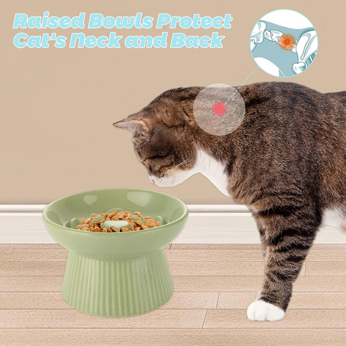 STARVAST 2 Pack Ceramic Slow Feeder Cat Bowl, Elevated