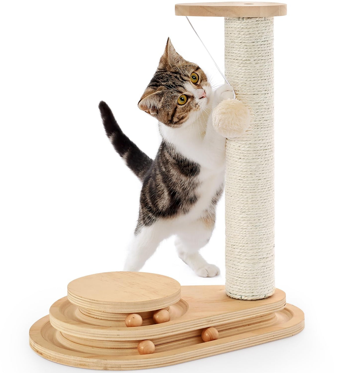 Made4Pets Kitten Toy Scratching Post for Indoor Cats with Ball Track