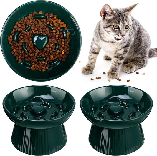 Tioncy 2 Pcs Ceramic Elevated Slow Feeder Cat Bowl, Dark Green