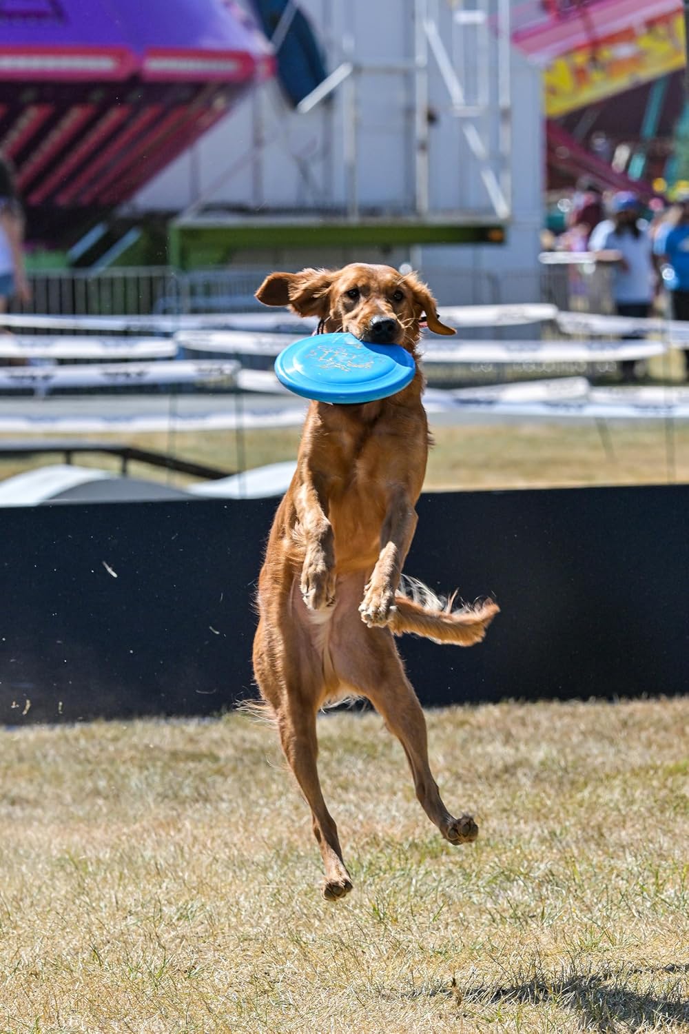 Hero Disc USA Hero SuperSonic 215 K9 Candy Plastic Dog Frisbee, Outdoor Dog Toy and Pet Frisbee, Puncture Resistant Dog Flying Disc