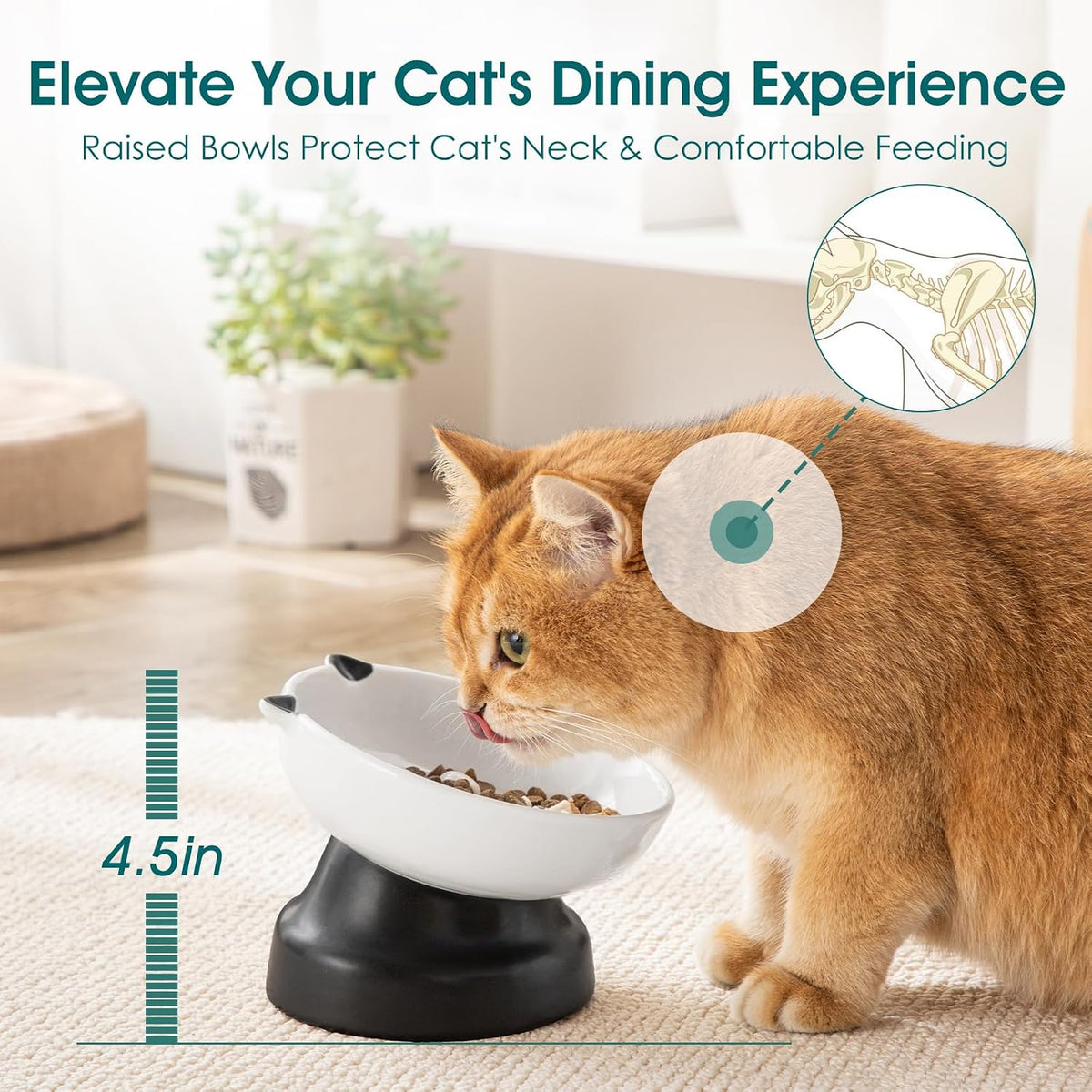 vancasso Slow Feeder Cat Bowls, Ceramic Elevated Slow Feeder Cat Bowls, Raised Food Bowl for Wet Food (Black)